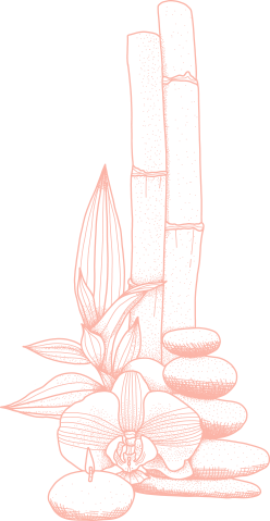 https://studio24salon.in/wp-content/uploads/2021/04/cbn-2.png